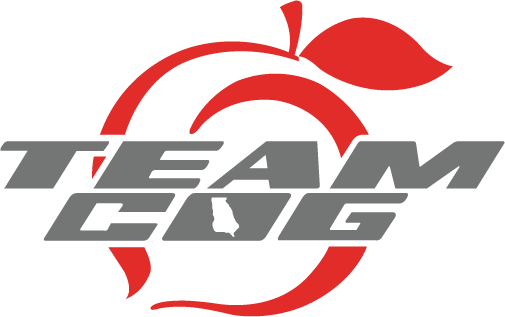 TEAMCOG